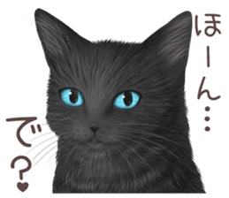 zumo cats sticker vol.4 (Japanese) sticker #9132388