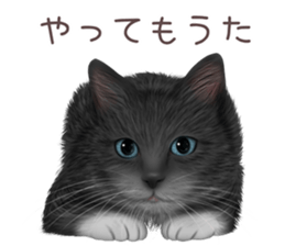 zumo cats sticker vol.4 (Japanese) sticker #9132389