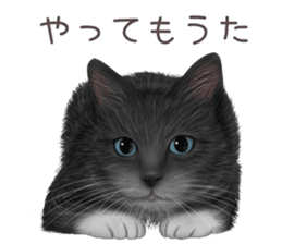 zumo cats sticker vol.4 (Japanese) sticker #9132389