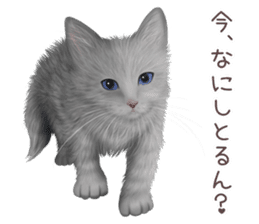 zumo cats sticker vol.4 (Japanese) sticker #9132392