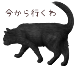 zumo cats sticker vol.4 (Japanese) sticker #9132393