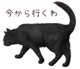 zumo cats sticker vol.4 (Japanese) sticker #9132393