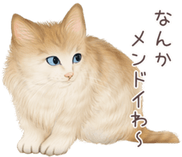 zumo cats sticker vol.4 (Japanese) sticker #9132394