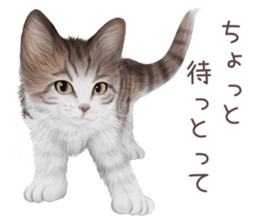zumo cats sticker vol.4 (Japanese) sticker #9132395