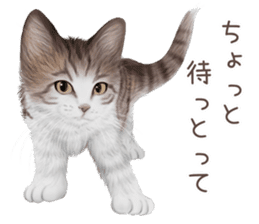 zumo cats sticker vol.4 (Japanese) sticker #9132395