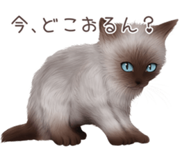 zumo cats sticker vol.4 (Japanese) sticker #9132398