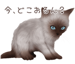 zumo cats sticker vol.4 (Japanese) sticker #9132398