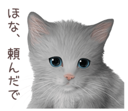 zumo cats sticker vol.4 (Japanese) sticker #9132400