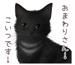 zumo cats sticker vol.4 (Japanese) sticker #9132401
