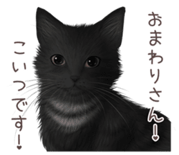 zumo cats sticker vol.4 (Japanese) sticker #9132401
