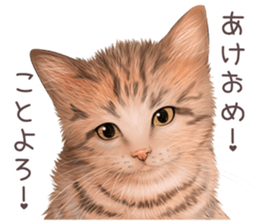 zumo cats sticker vol.4 (Japanese) sticker #9132402