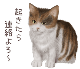 zumo cats sticker vol.4 (Japanese) sticker #9132405