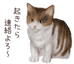 zumo cats sticker vol.4 (Japanese) sticker #9132405