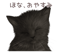 zumo cats sticker vol.4 (Japanese) sticker #9132407