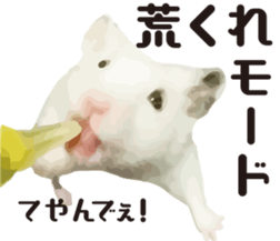 I like hamsters sticker #9139689