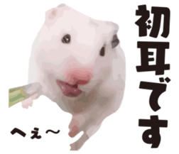 I like hamsters sticker #9139695