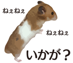 I like hamsters sticker #9139706