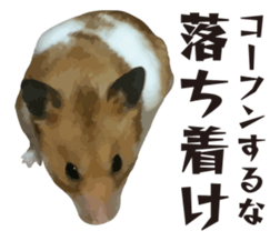 I like hamsters sticker #9139711