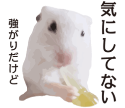 I like hamsters sticker #9139713