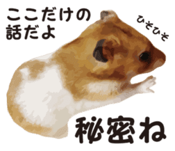 I like hamsters sticker #9139720