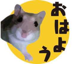 I like hamsters sticker #9139726