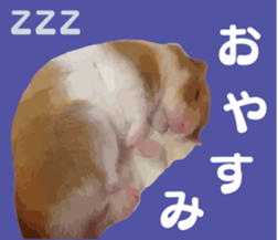 I like hamsters sticker #9139727
