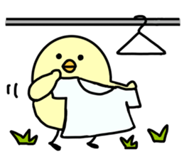 Plump_Chick sticker #9140266