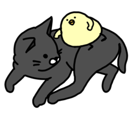 Plump_Chick sticker #9140267