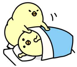 Plump_Chick sticker #9140271