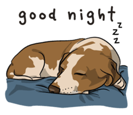 Kao Tang The Dog (Eng) sticker #9140450