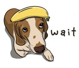 Kao Tang The Dog (Eng) sticker #9140455