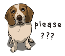 Kao Tang The Dog (Eng) sticker #9140458