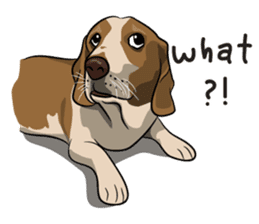 Kao Tang The Dog (Eng) sticker #9140460