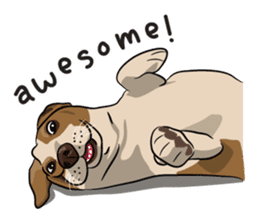 Kao Tang The Dog (Eng) sticker #9140474