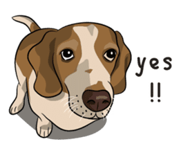 Kao Tang The Dog (Eng) sticker #9140475