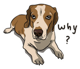 Kao Tang The Dog (Eng) sticker #9140482