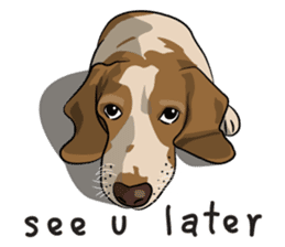 Kao Tang The Dog (Eng) sticker #9140487