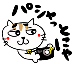 It's troubled face cat sticker #9143940