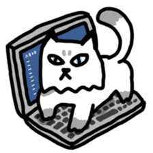 Daily Boogie sticker #9146188