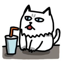 Daily Boogie sticker #9146189