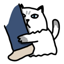 Daily Boogie sticker #9146190