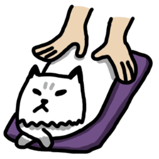 Daily Boogie sticker #9146194