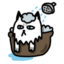 Daily Boogie sticker #9146200