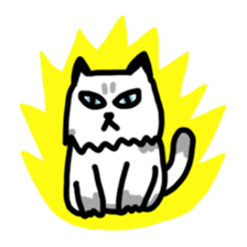 Daily Boogie sticker #9146202