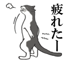 Cats of various coat colors sticker #9147558