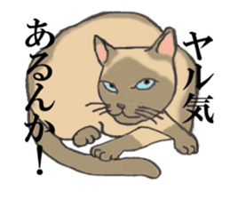 Cats of various coat colors sticker #9147562