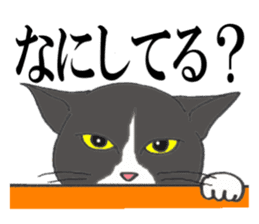 Cats of various coat colors sticker #9147571