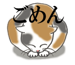 Cats of various coat colors sticker #9147576