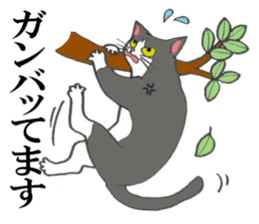 Cats of various coat colors sticker #9147580