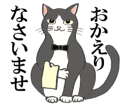 Cats of various coat colors sticker #9147581